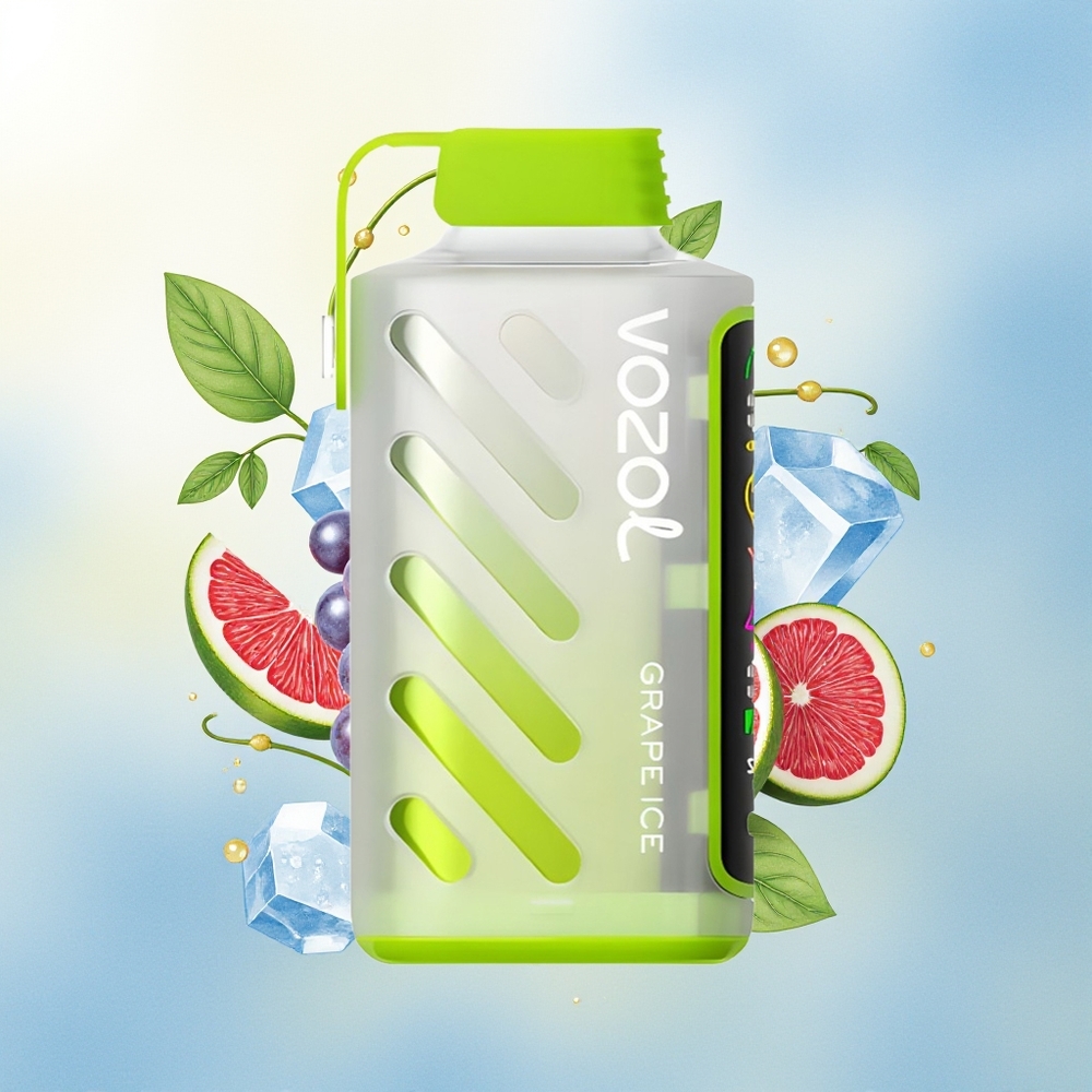 VOZOL Gear Power 20000 S.i.L.C. Tech Dual Mesh Ekraan Viinamäe-Jää