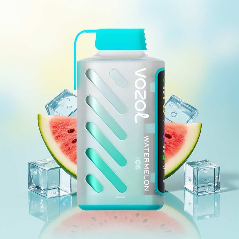 VOZOL Gear Power 20000 Sükeldus Dual Mesh Ekraan Arbuusijää