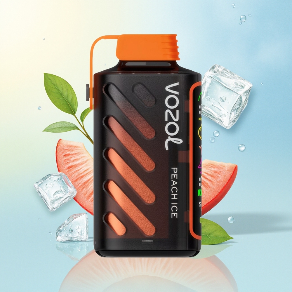 VOZOL Gear Power 20000 Sülg ECO Dual Mesh Klaas Ekraan Virsik Jää