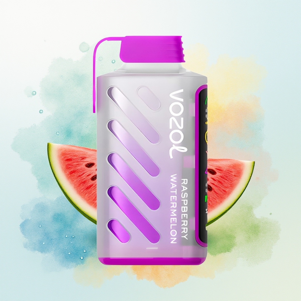 VOZOL Gear Power 20000 Suudet ECO Režiim Täisekraaniga Vaarikas-Arbuus