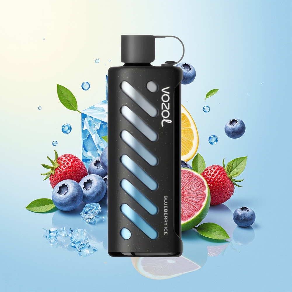 VOZOL Gear Shisha 25000 S.iL.C Tech Dual Mesh 1000mAh 5mg/ml Mustikas-Jää