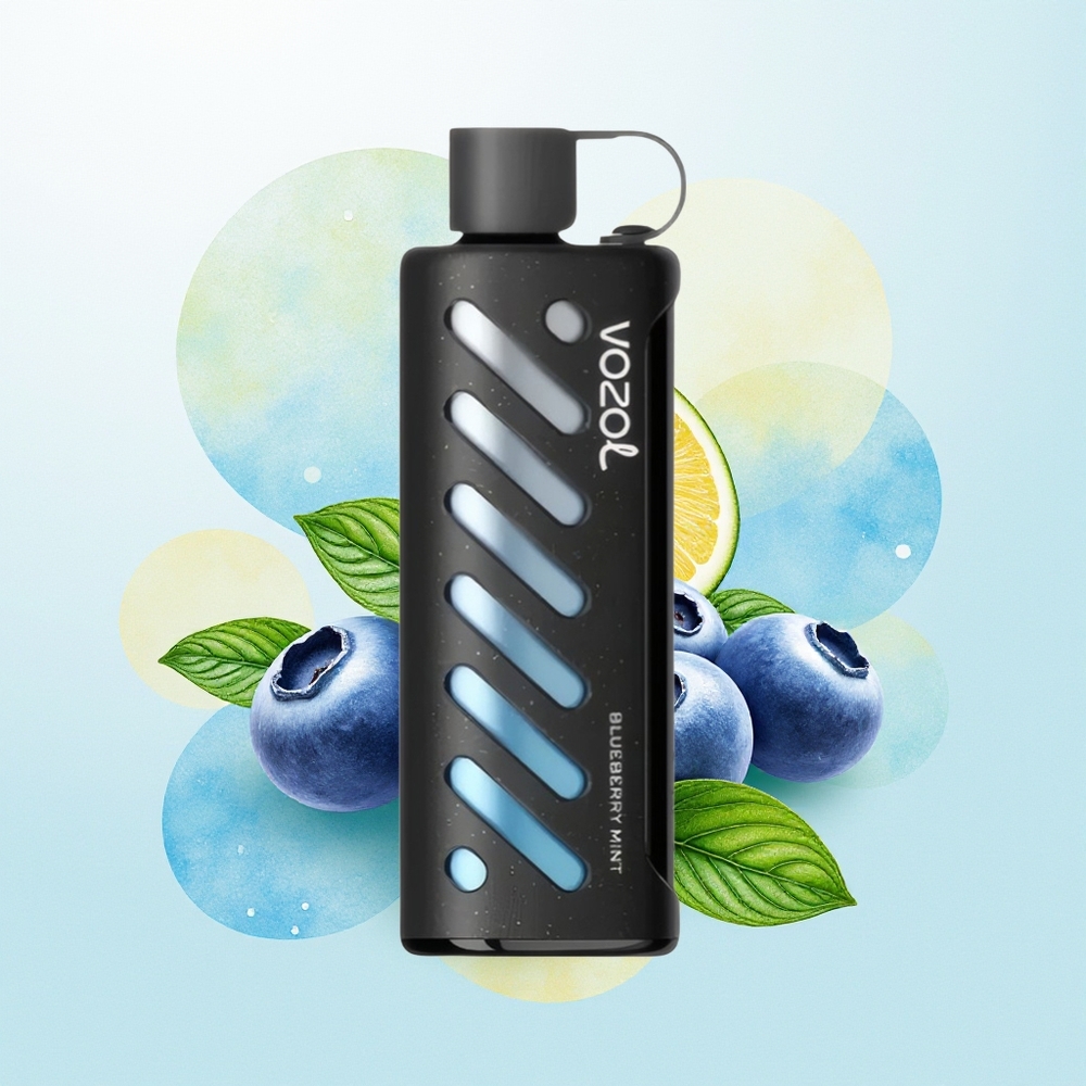 VOZOL Gear Shisha 25000 Sutsuga Dual Mesh Tehnoloogia Mustikas-Mündi Suits