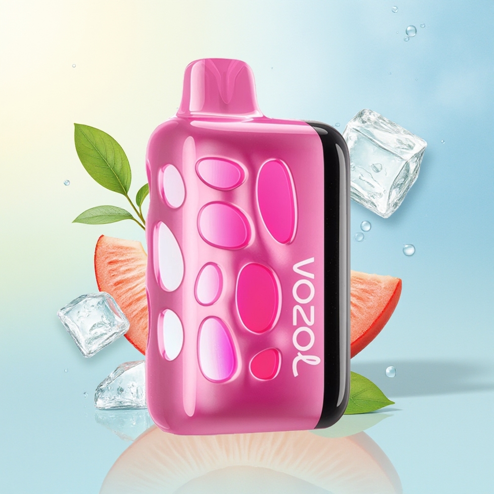 VOZOL RAVE 40000 Suitsupõlemis 1000mAh Helisünkroinne Peekrisa-Jää