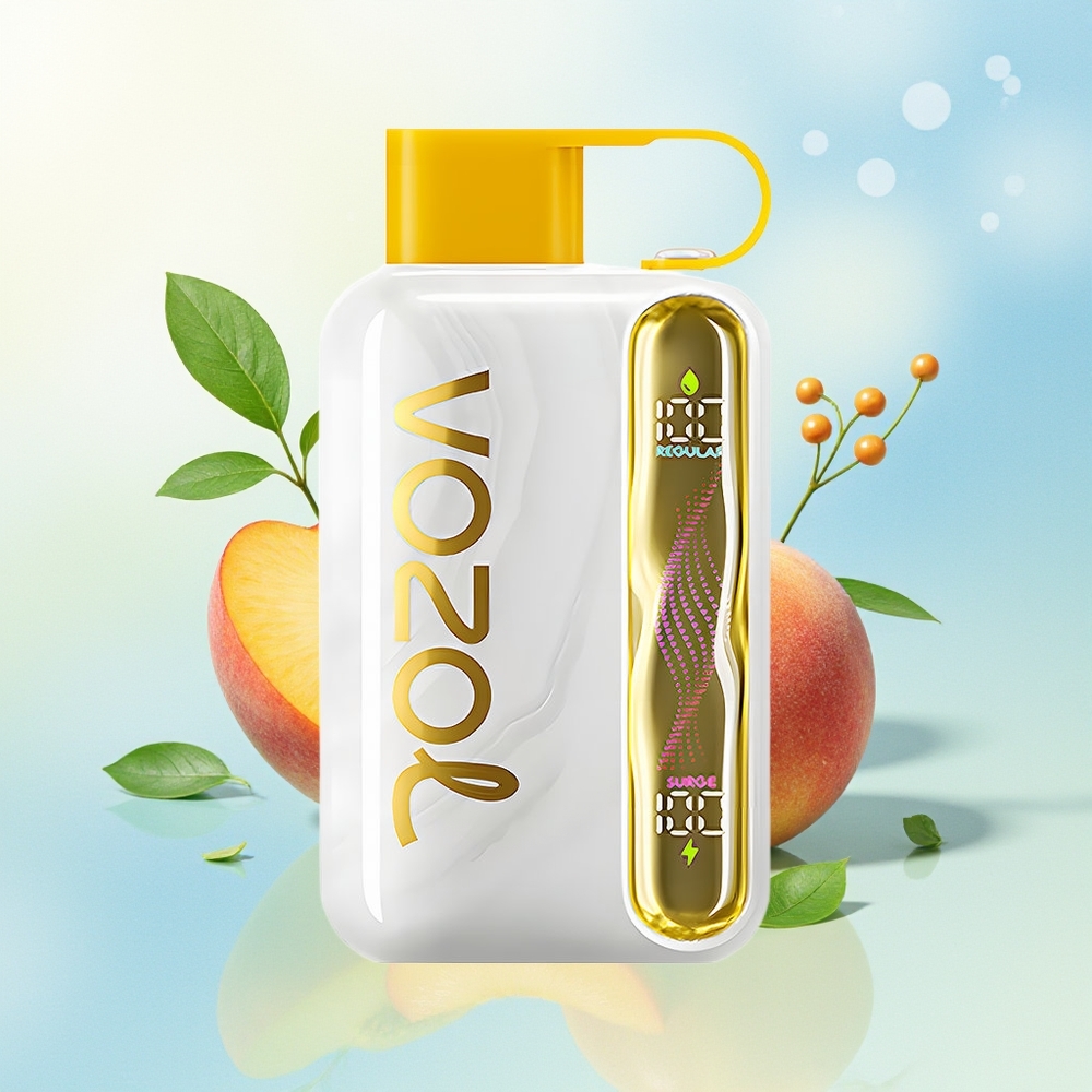 VOZOL STAR 40000 Puhud 1000mAh Type-C Mangovilj-Pirsak