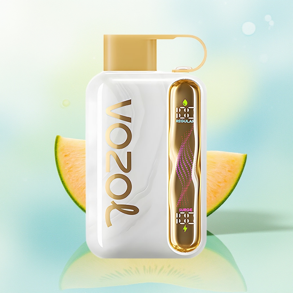 VOZOL STAR 40000 Puhud 1000mAh Type-C Meloni Näts