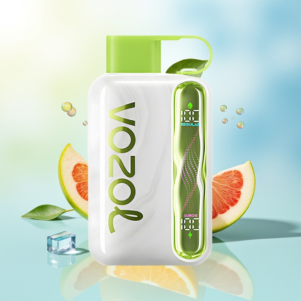 VOZOL STAR 40000 Puhud Disposabel Vape 1000mAh Type-C Hape 20/50mg/ml Hapu Õuna Jää