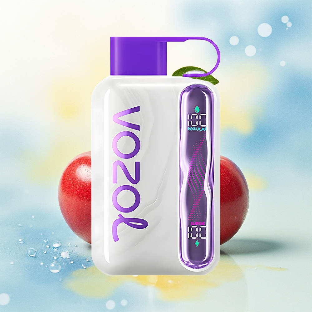 VOZOL STAR 40000 SISSEVÕTTE 1000mAh Type-C Kirss-Koola