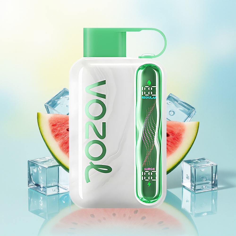 VOZOL STAR 40000 SISU 1000mAh Type-C Tigu-Jää