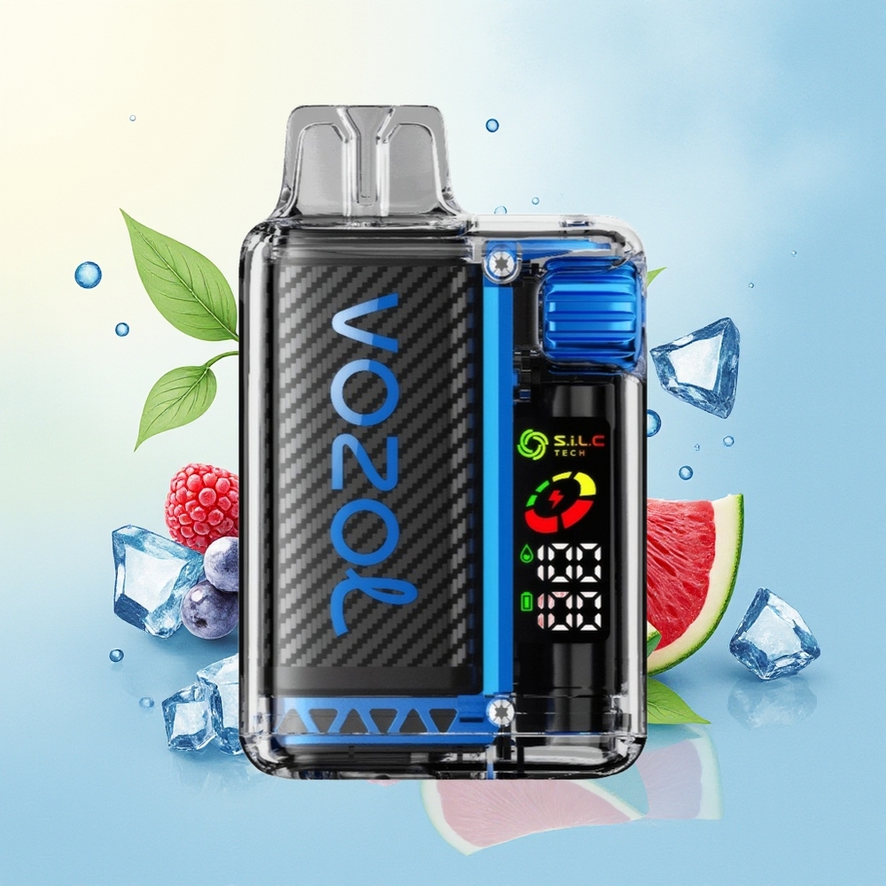 VOZOL Vista 20000 Puhangut Taastlaetav OLED Ekraaniga Sinine Sõstar-Jää